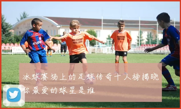冰球赛场上的足球传奇十人榜揭晓你最爱的球星是谁