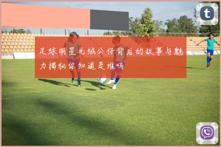 足球明星毛绒公仔背后的故事与魅力揭秘你知道是谁吗