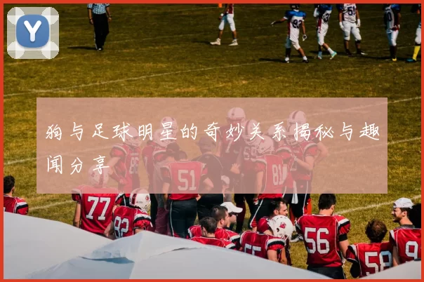 狗与足球明星的奇妙关系揭秘与趣闻分享