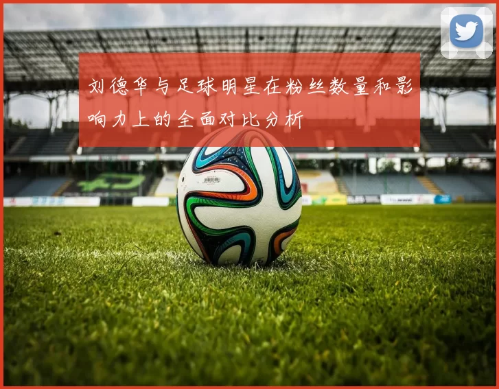 刘德华与足球明星在粉丝数量和影响力上的全面对比分析