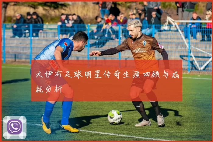 大伊布足球明星传奇生涯回顾与成就分析