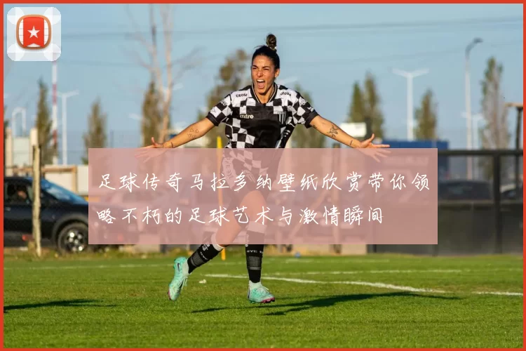 足球传奇马拉多纳壁纸欣赏带你领略不朽的足球艺术与激情瞬间