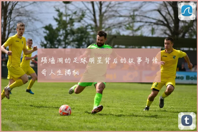 踢墙洞的足球明星背后的故事与传奇人生揭秘