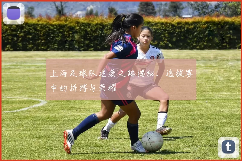 上海足球队逆袭之路揭秘：选拔赛中的拼搏与荣耀