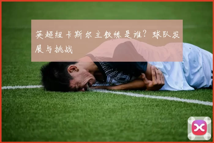 英超纽卡斯尔主教练是谁？球队发展与挑战