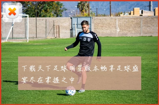 下载天下足球明星版本畅享足球盛宴尽在掌握之中