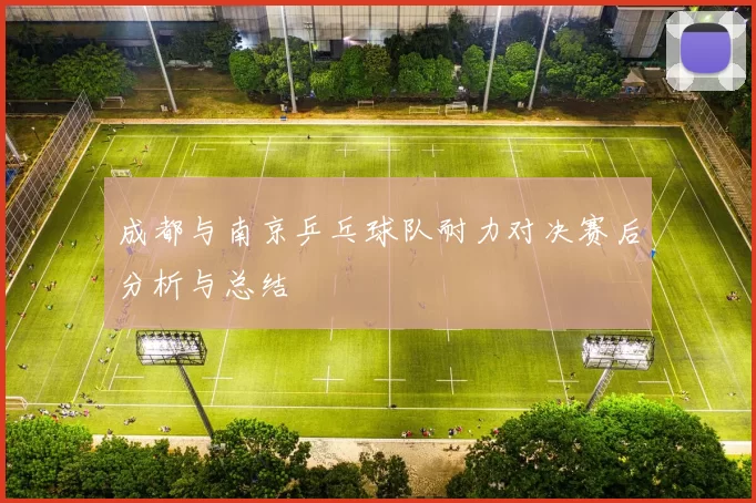 成都与南京乒乓球队耐力对决赛后分析与总结