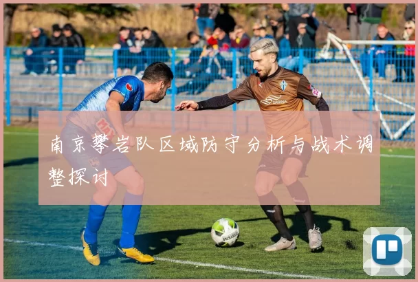 南京攀岩队区域防守分析与战术调整探讨
