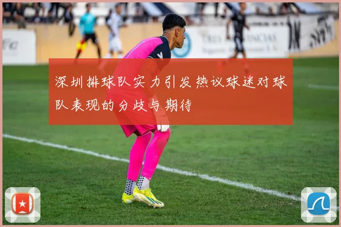 深圳排球队实力引发热议球迷对球队表现的分歧与期待