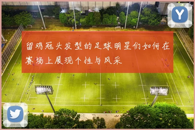 留鸡冠头发型的足球明星们如何在赛场上展现个性与风采