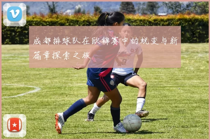 成都排球队在欧锦赛中的蜕变与新篇章探索之旅