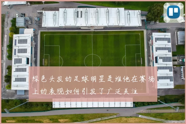 绿色头发的足球明星是谁他在赛场上的表现如何引发了广泛关注
