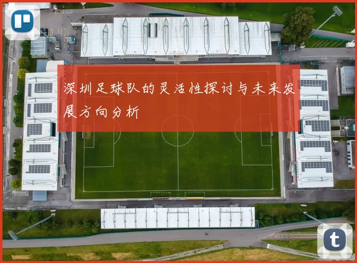 深圳足球队的灵活性探讨与未来发展方向分析