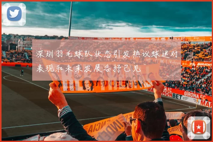 深圳羽毛球队状态引发热议球迷对表现和未来发展各抒己见