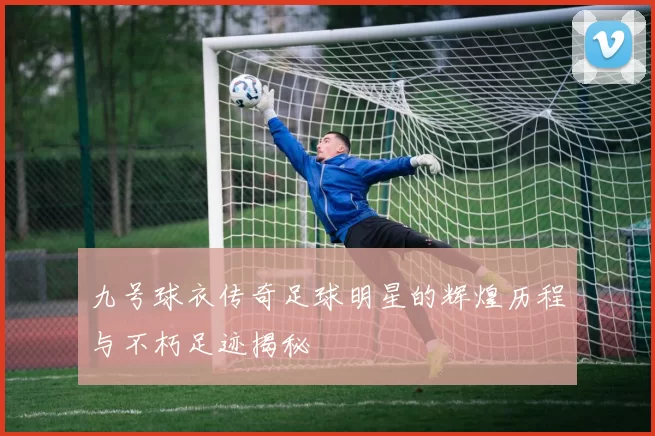 九号球衣传奇足球明星的辉煌历程与不朽足迹揭秘