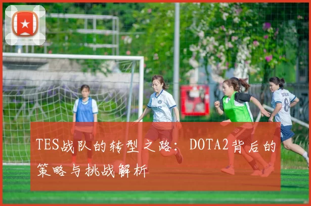 TES战队的转型之路：DOTA2背后的策略与挑战解析