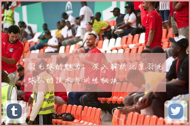 羽毛球的魅力：深入解析北京羽毛球队的技术与训练秘诀
