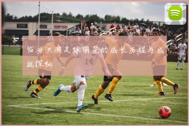 临汾洪洞足球明星的成长历程与成就探秘