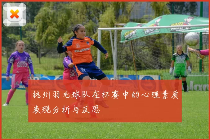 杭州羽毛球队在杯赛中的心理素质表现分析与反思