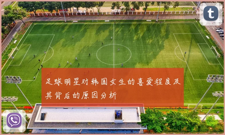足球明星对韩国女生的喜爱程度及其背后的原因分析