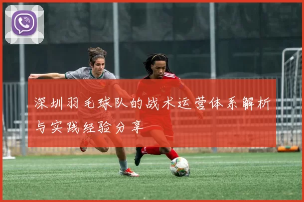 深圳羽毛球队的战术运营体系解析与实践经验分享