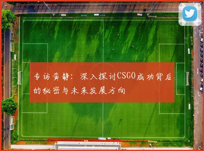 专访黄静：深入探讨CSGO成功背后的秘密与未来发展方向