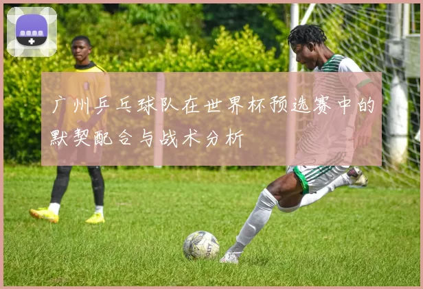 广州乒乓球队在世界杯预选赛中的默契配合与战术分析